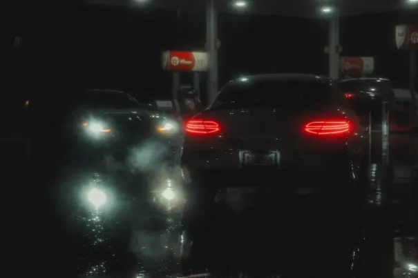 كازينو دوف بينغو تطبيق أندرويد/آي أو إس